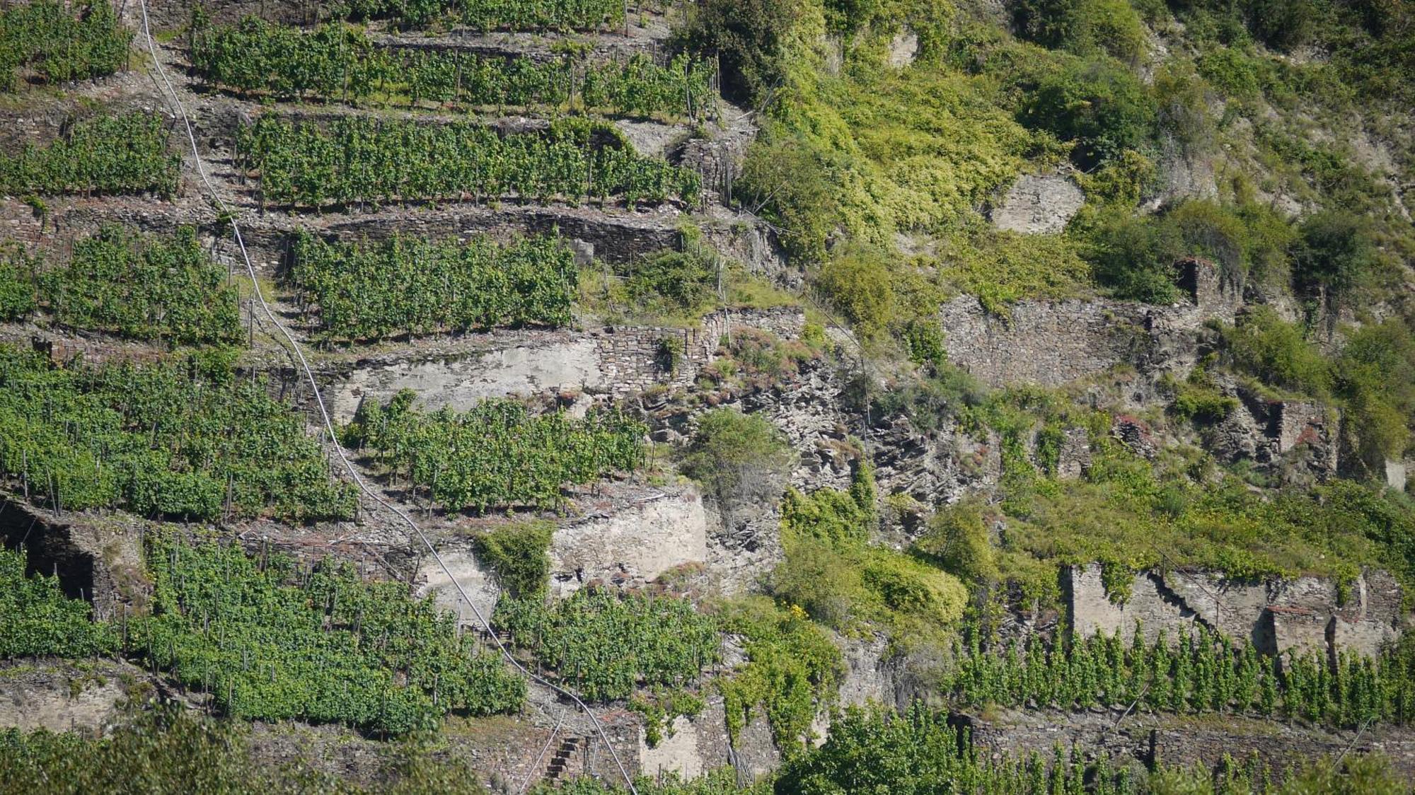 Hotel-Garni-Kachelburg Dieblich Eksteriør billede