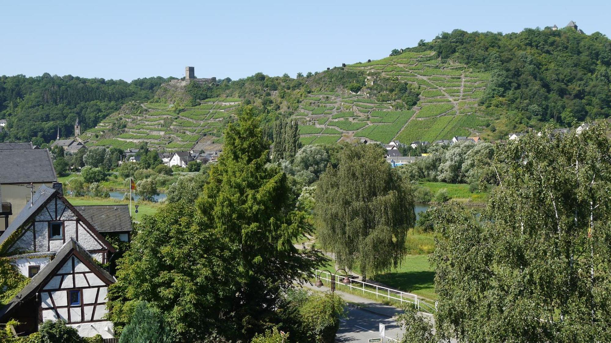 Hotel-Garni-Kachelburg Dieblich Eksteriør billede